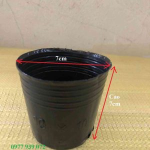 Bầu ươm cây giống