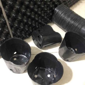 xưởng bầu ươm cây