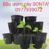 Bầu ươm cây giá rẻ - Chậu nhựa mềm trồng cây cảnh