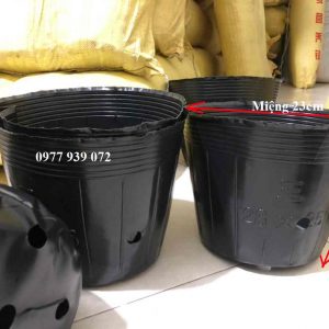 Bầu ươm cây - chậu nhựa dẻo mã 28x25