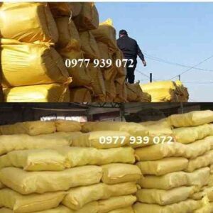 chậu nhựa trồng cây