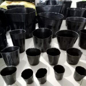 Chậu nhựa trồng cây cảnh